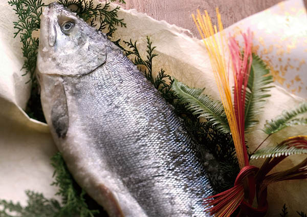 �̳�ƻ�� �������ʼ������