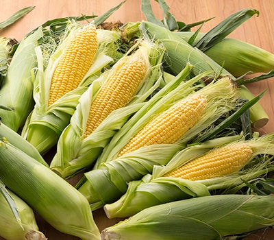 北海道産 とうもろこし 2Lサイズ10本/送料込/他商品同送不可/7月下旬-9 北海道産 とうもろこし 2Lサイズ10本/送料込/他商品同送不可/7月下旬-9