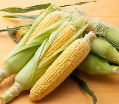北海道産 とうもろこし 2Lサイズ10本/送料込/他商品同送不可/7月下旬-9
