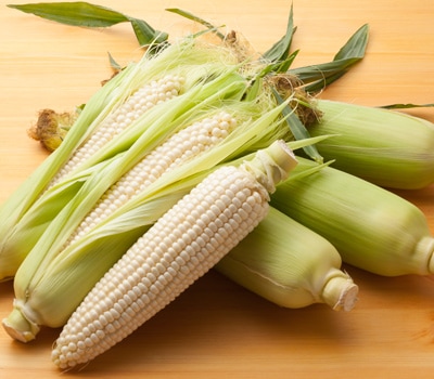 北海道産 ピュアホワイト Lサイズ10本/送料込/他商品同送不可/7月下旬