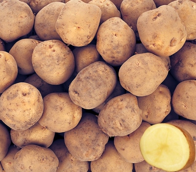 北あかり Lサイズ 10kg/他商品同送不可/9月中旬からのお届け/届日指定