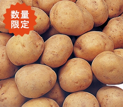今金男爵じゃがいも Lサイズ 10kg/他商品同送不可/10月中のお