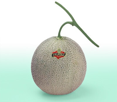 . ͼĥ�� ͼĥ����� 2.0kg���� 1����