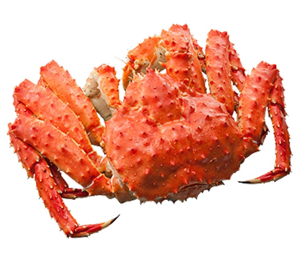 ̳ƻۥܥ뤿Ф˻ѡ2.5kg