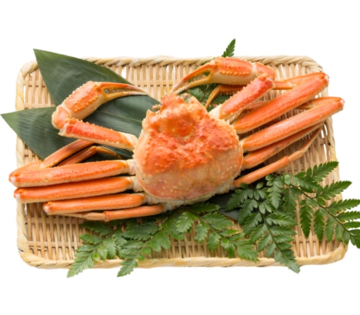 ボイルずわいがに姿 750g前後 | かに,ずわいがに,ずわいがに姿