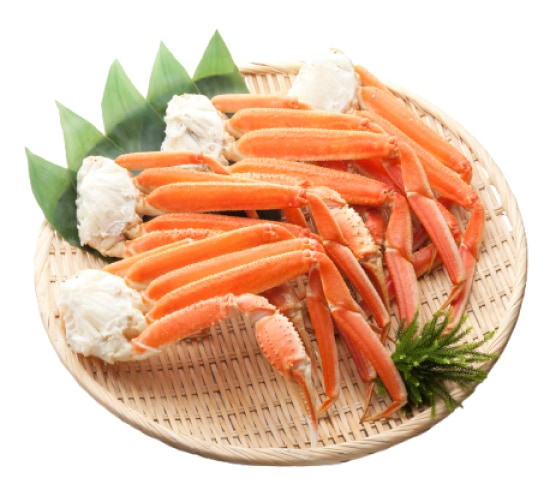 中国真いかするめ足【2kg】Sサイズ 真いかするめ足【2kg】Sサイズ 魚介類(加工食品) 真いかするめ足【2kg】