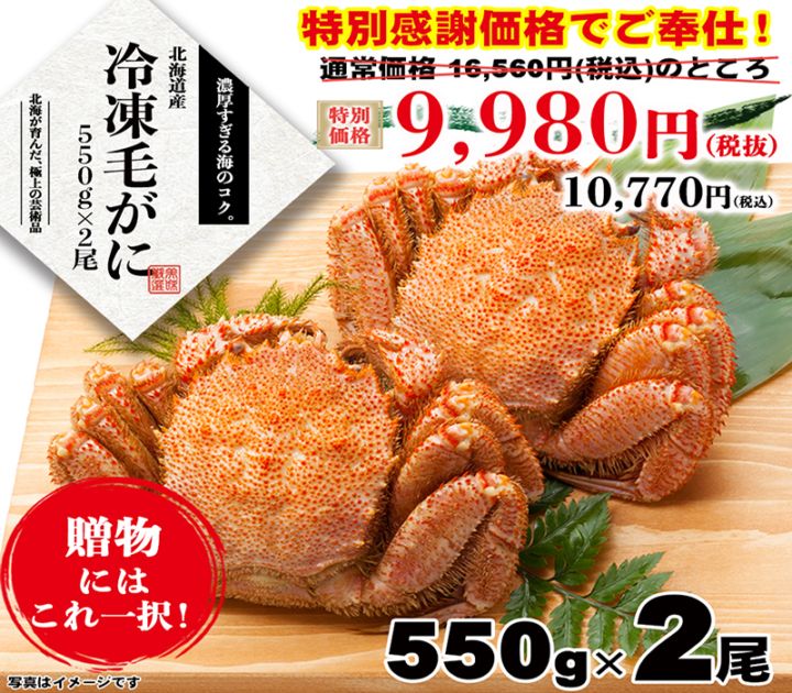 特別企画】毛ガニ大型2尾セット（約550g×2尾）【数量限定】 | セット