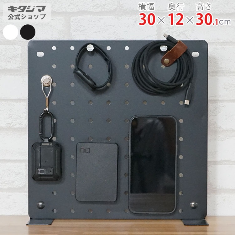 SALE【即納】現物１点　壁掛　バードジム　✨　パンチングボード 現物1点 壁掛 バードジム ✨ カスタム パンチングボード 流木