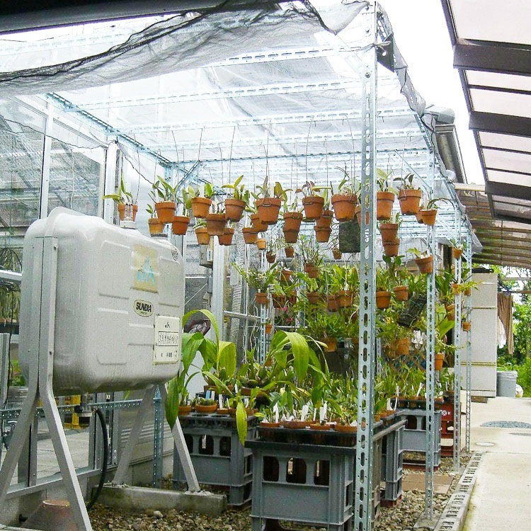 ������̵����<br>L�֥饱�å� L-12<br>3.2��390��390mm<br>�ڥ��������å��Υ������ޡ�<br>