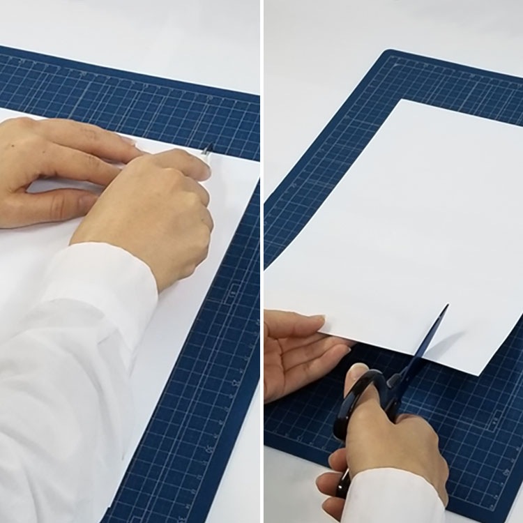 ������̵����<br>�ޥ��ͥåȥ�����<br>B5������ 3�祻�å�<br>�ڥ��������å��Υ������ޡ�<br>