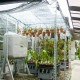 ̵<br> L󥰥 L40WP-1800<br>3.240401800mm<br>50ܥå<br>