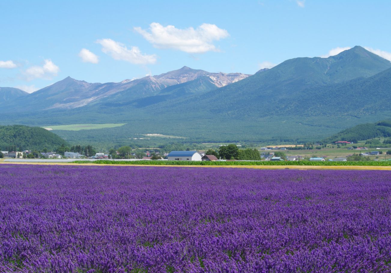 Тойота фурано 1994