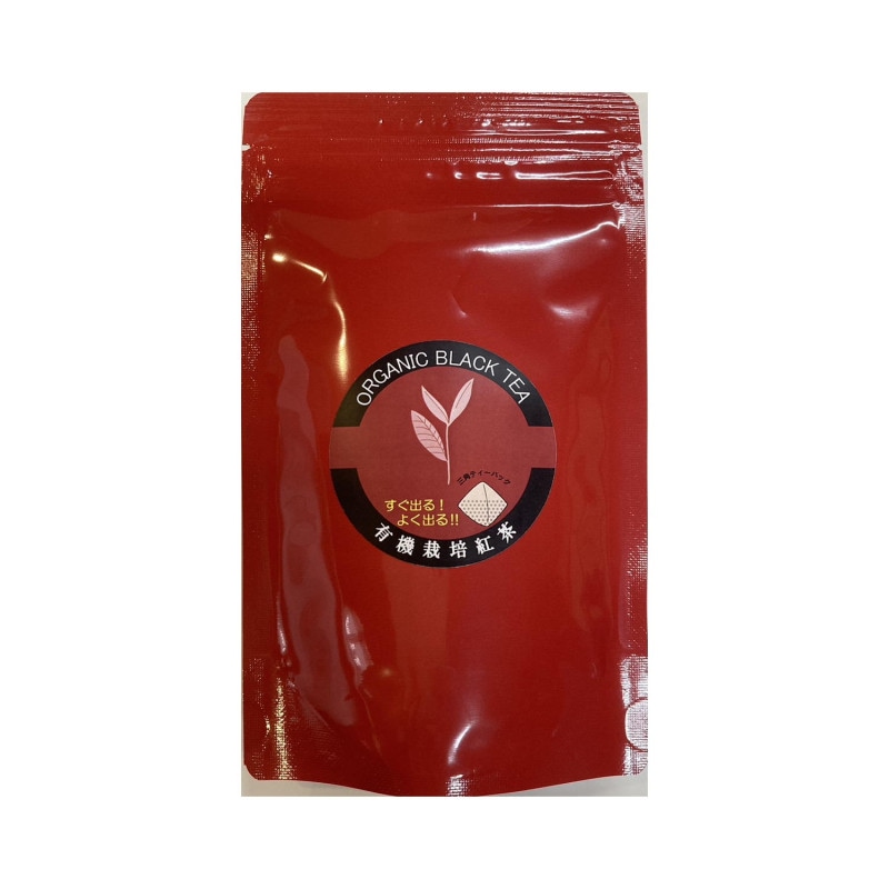 ��¼���¹���ƥ����Хå�10��