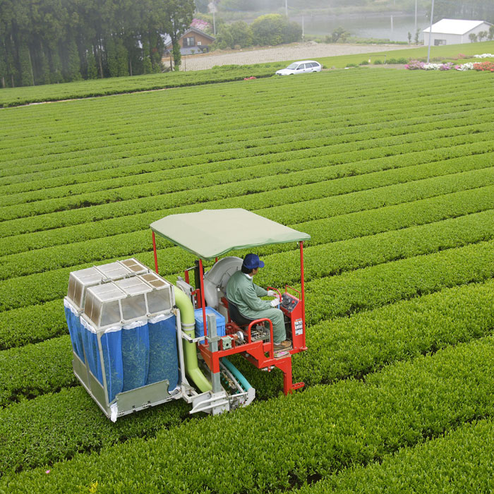 ������̵������δ�12�浪����å�