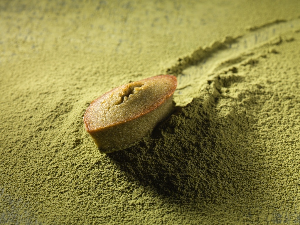 ǻեʥ󥷥<BR>㡹SASAFUNEݡ6