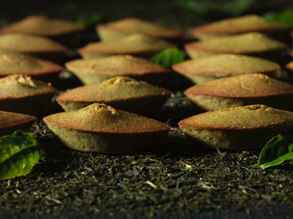 ǻեʥ󥷥<BR>㡹SASAFUNEݡ6