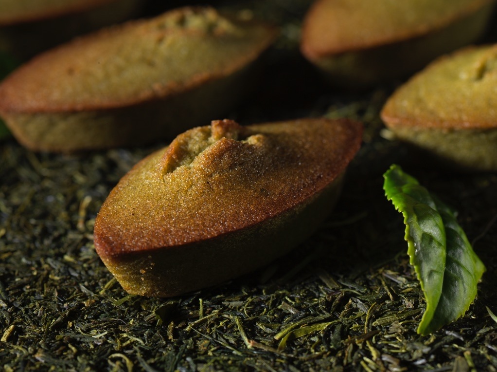 ǻեʥ󥷥<BR>㡹SASAFUNEݡ6