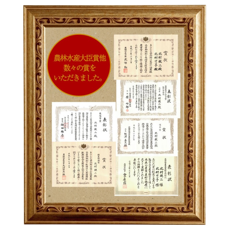 ����̵�� ��������ͭ������ƥ����Хå���ǻ����ե��ʥ󥷥� �㡹��-SASAFUNE-�ͤ��碌