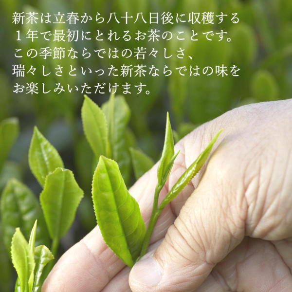 2026ǯ�ٻ����� ͭ������ �� 50g