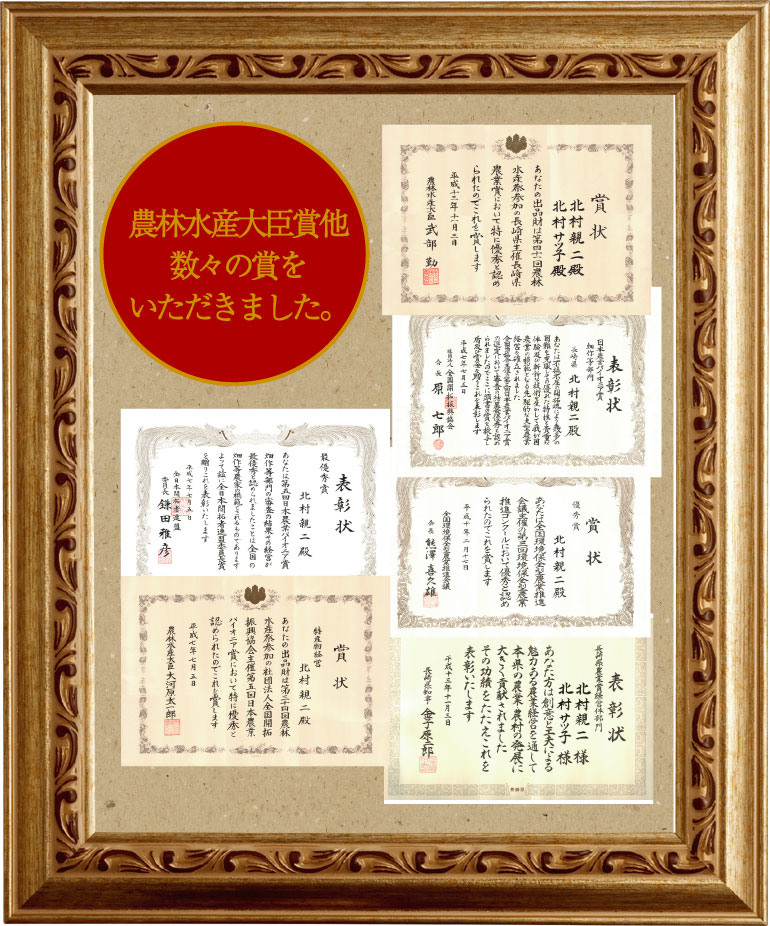 ����Ȥۤ�����ݷ�2��ͤ��碌