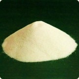 ˤ㤯ʴ ʴ   þ  ͹إݥȤȡ åݥȤǤϤ