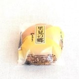 Τ���ζ� ���󥰥饤�� ����