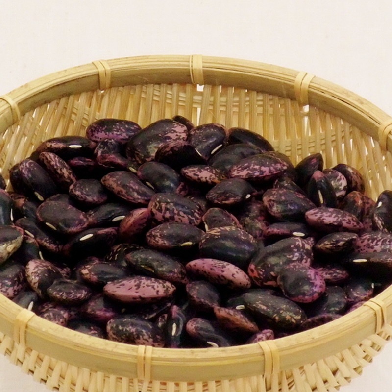 ���Ʀ ��餵���Ϥʤޤ� �̳�ƻ�� ����Ʀ ���£�ǯ�ٻ� ��������ǯ����