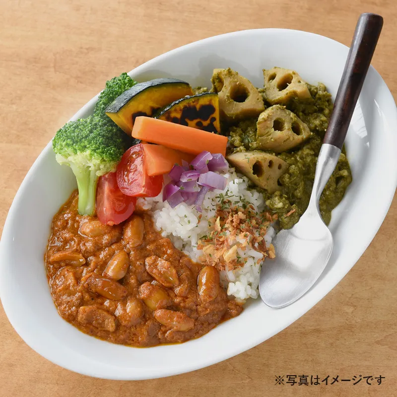 あかのキーマカレー×みどりのインドカレー｜北野エースWEB SHOP