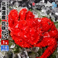 ��2024ǯ�ټ��ս�λ�� �ֺ餬�� �̳�ƻ�� 觤Ǥ���ľ�� 350g����500g���� 1���� ���� �� �ֺ饬�� �����ϥ����