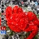 ��2024ǯ�ټ��ս�λ�� �ֺ餬�� �̳�ƻ�� 觤Ǥ���ľ�� 350g����500g���� 1���� ���� �� �ֺ饬�� �����ϥ����