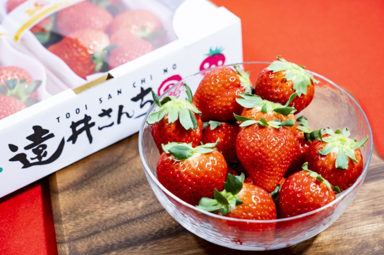 2024年分 新商品】栃木県産シャンベリー | すべての商品 | SNOW JEWELS