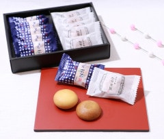 江戸・東京　まつり　10個入