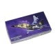 1/48 ��ɩ F1/T-2 �Ҷ������� 32013