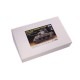 �ڥ�����������1/35 ���ӥ���M4A2(76)W ���㡼�ޥ����(�ͷ�6���դ�) 25105