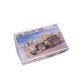 1/35 Sd Kfz250/3 GREIF G-796