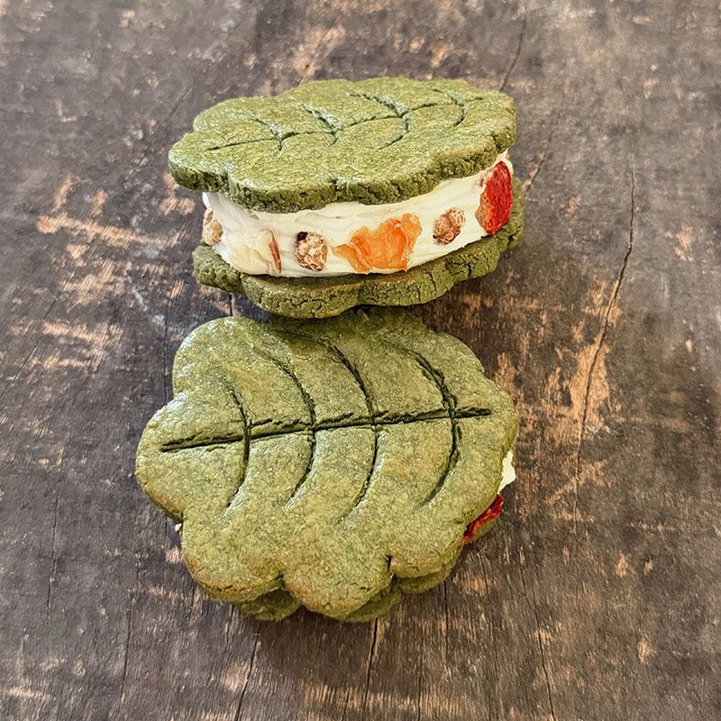 Good boy's cookie sandwich