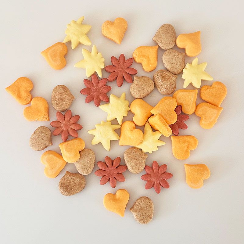 ◆◆Momiji -森の道のカサカサ-