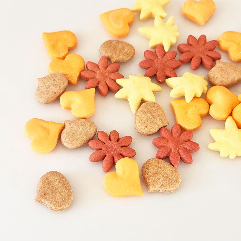 ◆◆Momiji -森の道のカサカサ-