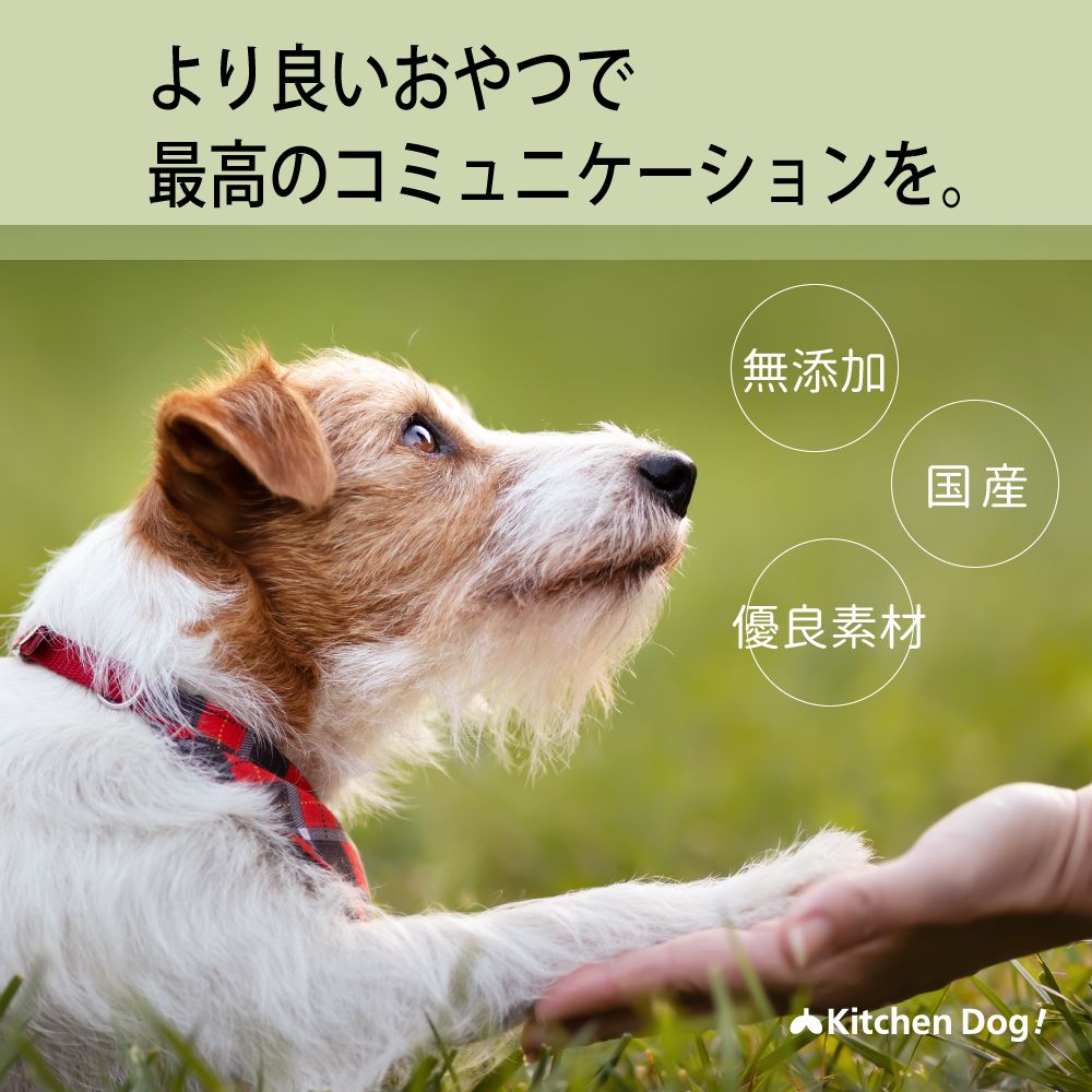 ◆噛みカミ　馬アキレス