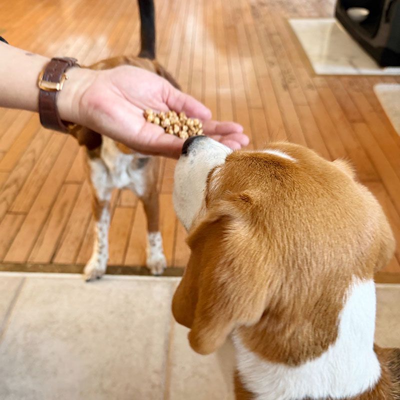 ◆【ポップガン！】POP GUN！【3個+送料込み】のお得なセット！