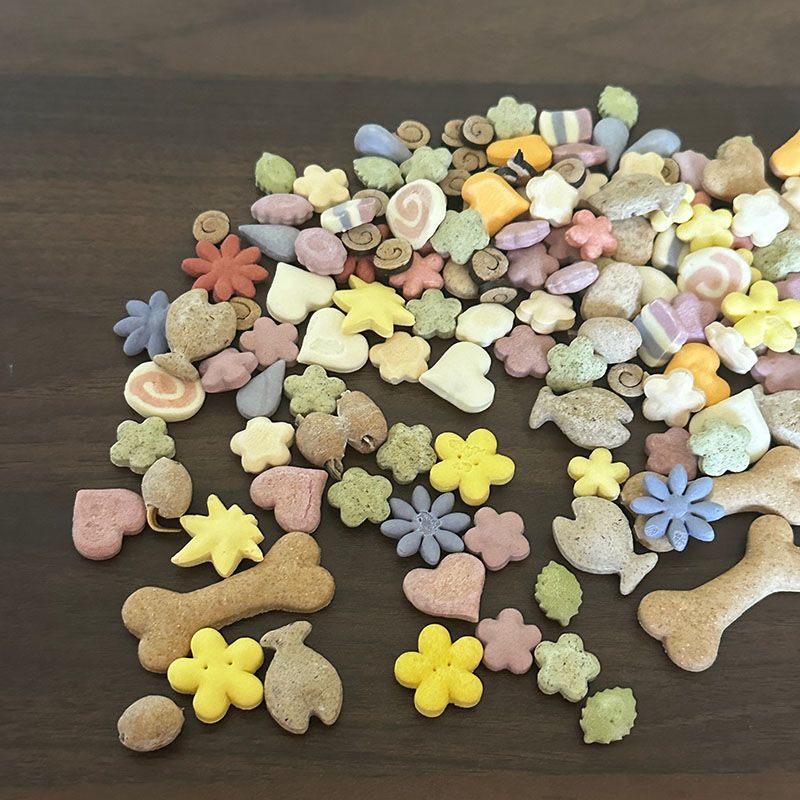 ◆◆【オールスターズ】all stars 秋冬バージョン