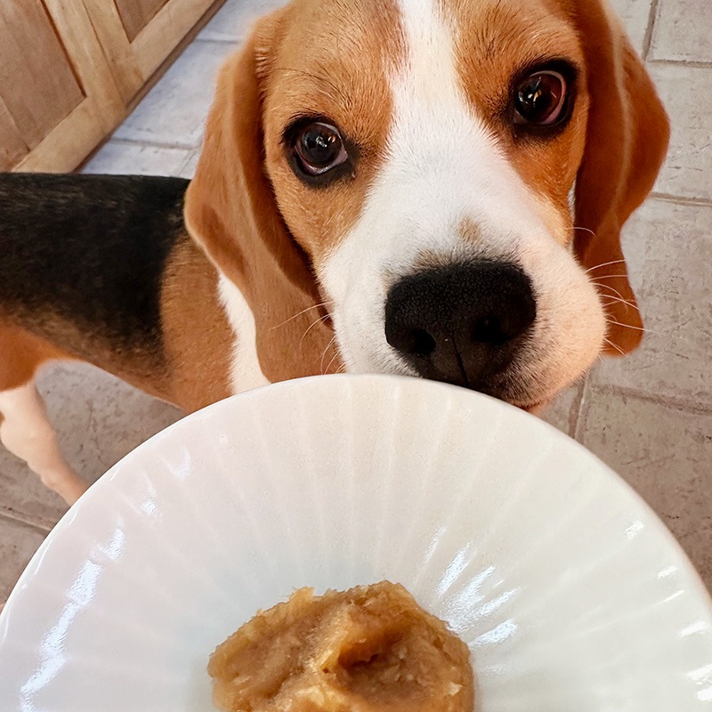 ◇◇お腹ととのうリンゴペースト