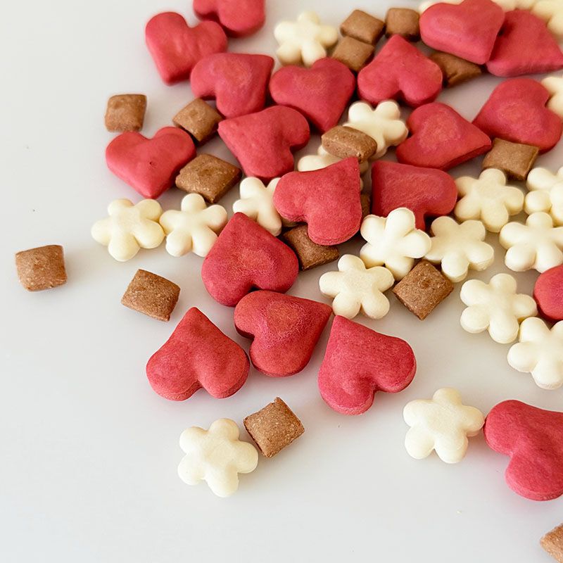 ●バレンタインビスケット　Valentine Rouge-バレンタイン・ルージュ-　