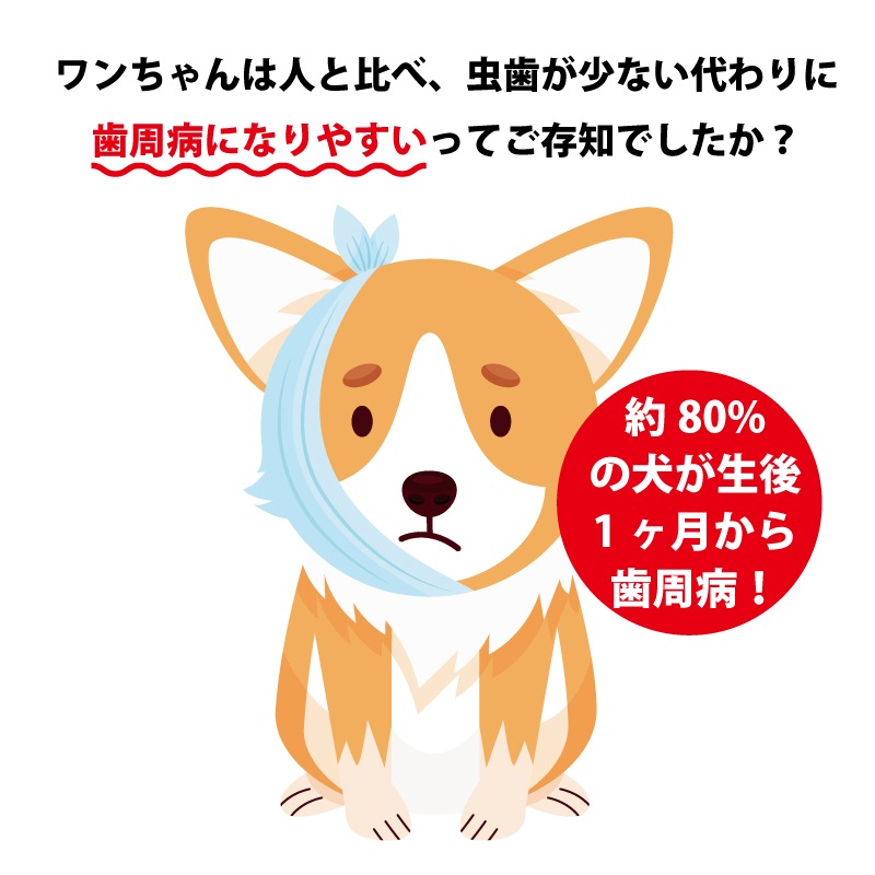 ペット用　歯磨きジェル　クリスタルジョイ