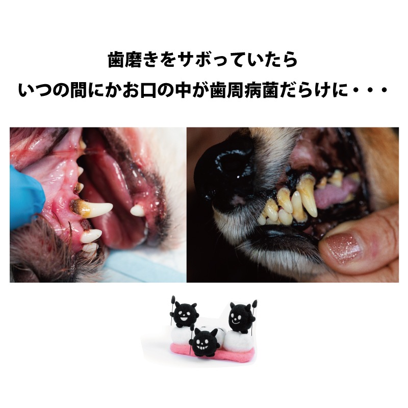 ペット用　歯磨きジェル　クリスタルジョイ