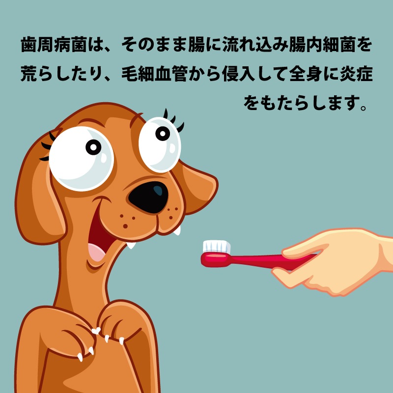 ペット用　歯磨きジェル　クリスタルジョイ