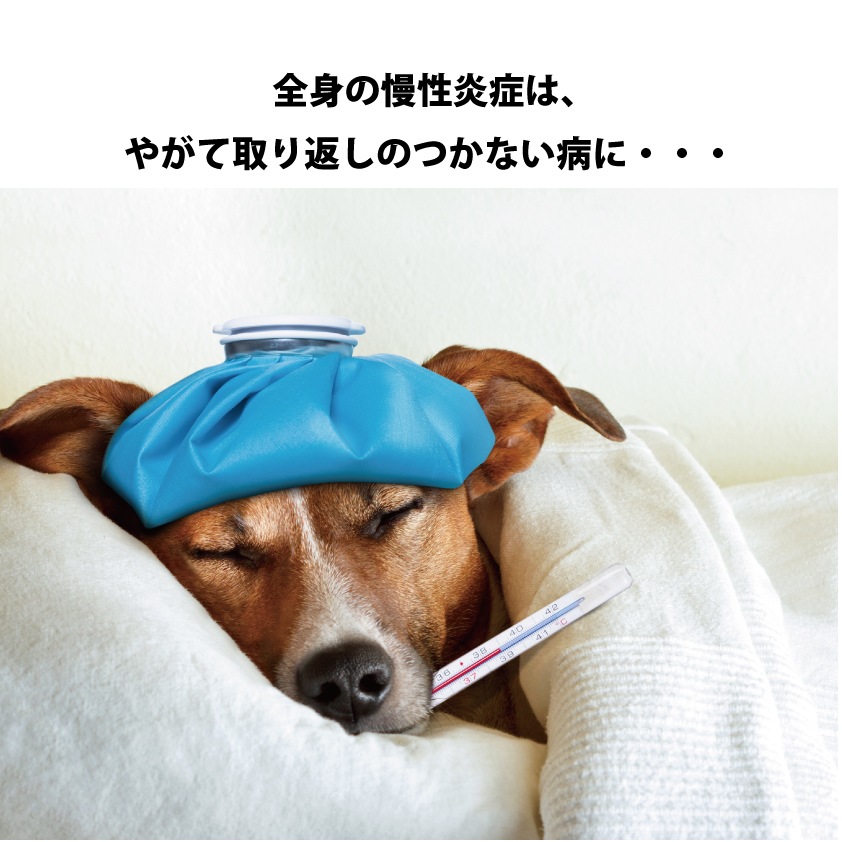 ペット用　歯磨きジェル　クリスタルジョイ