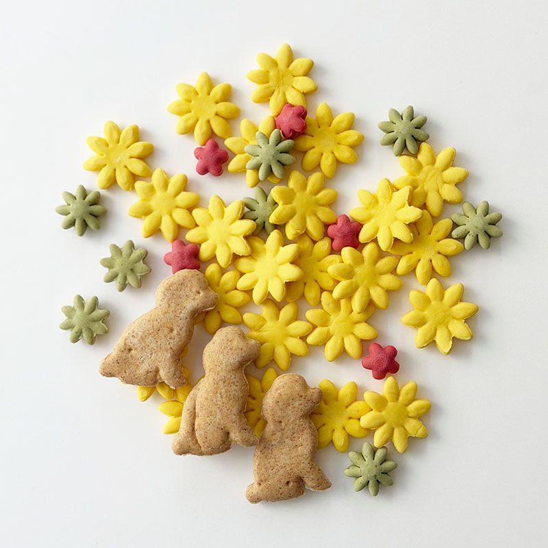 Dreaming puppies