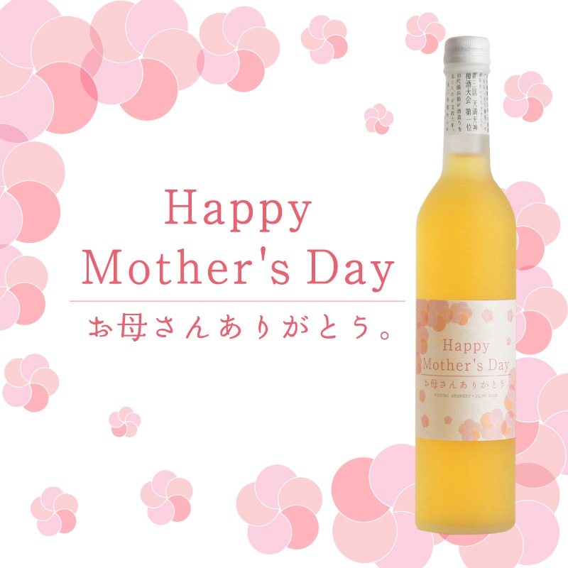 【2026母の日】限定ラベル 木内梅酒・梅果実酒 500ml 2本セット