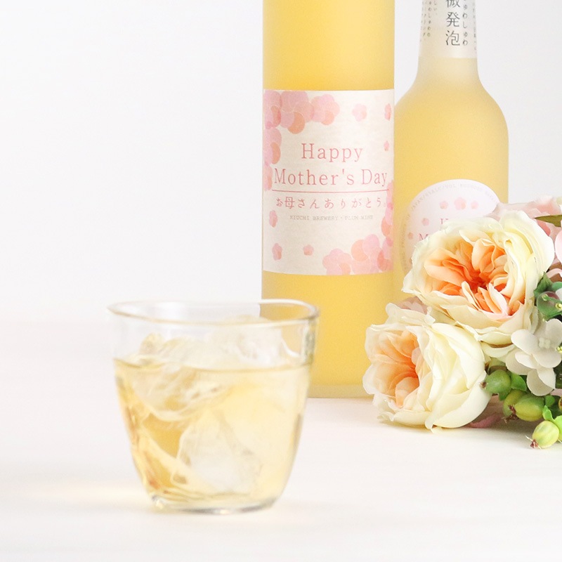 【2026母の日】限定ラベル 木内梅酒・梅果実酒 500ml 2本セット